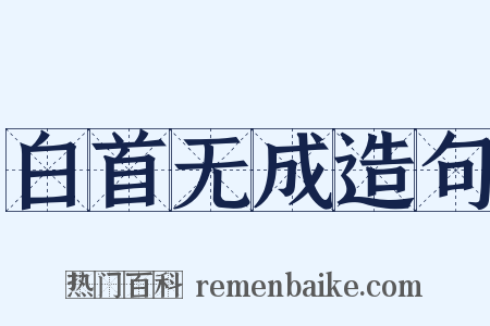 白首无成造句是什么意思的图片